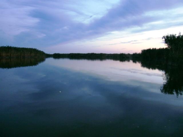 Doar ... NATURA  - 2 - gedc0380.JPG